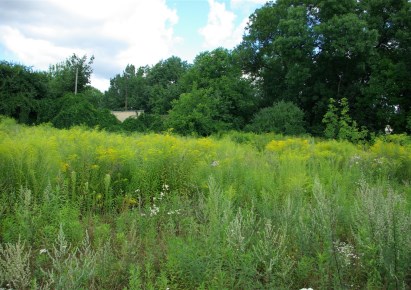 działka na wynajem - Tarnowskie Góry, Śródmieście