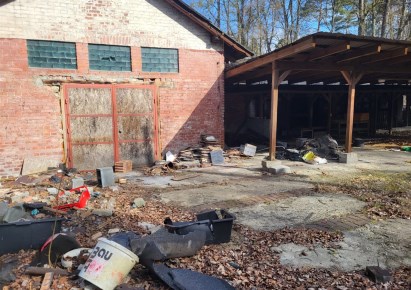 działka na sprzedaż - Tworóg, Boruszowice